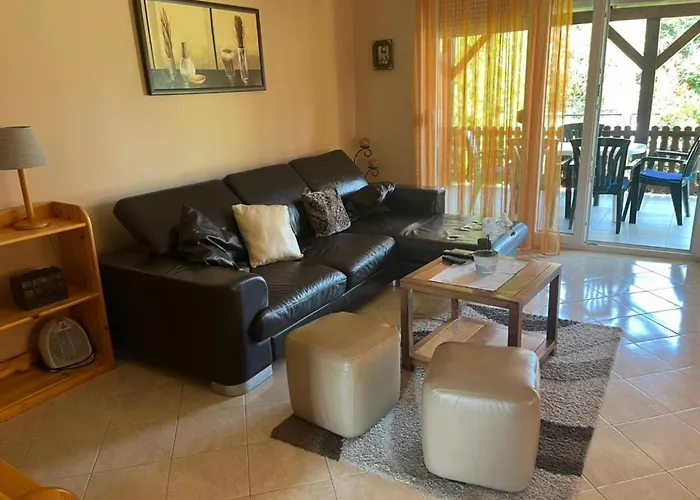 Vikrics Apartament *